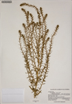 000187468-thumbnail.jpg