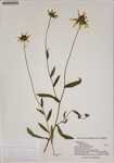 000187506-thumbnail.jpg