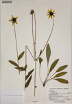 000187507-thumbnail.jpg