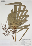 000187555-thumbnail.jpg