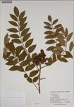 000187571-thumbnail.jpg