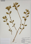 000187580-thumbnail.jpg