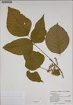 000187584-thumbnail.jpg