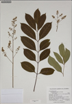 000187585-thumbnail.jpg