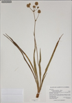 000187595-thumbnail.jpg