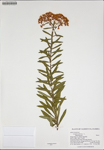 000187608-thumbnail.jpg