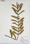 000187612-thumbnail.jpg