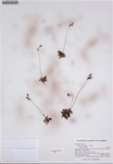000187679-thumbnail.jpg