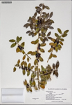 000187681-thumbnail.jpg
