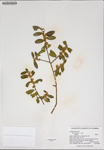 000187682-thumbnail.jpg
