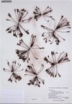 000187692-thumbnail.jpg