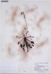 000187693-thumbnail.jpg
