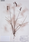 000187694-thumbnail.jpg