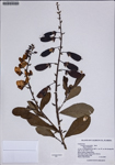 000187770-thumbnail.jpg
