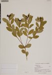 000187800-thumbnail.jpg