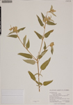 000187810-thumbnail.jpg