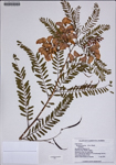 000187816-thumbnail.jpg