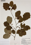 000187859-thumbnail.jpg