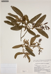 000187878-thumbnail.jpg