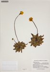 000187967-thumbnail.jpg