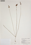 000187968-thumbnail.jpg