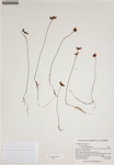 000187969-thumbnail.jpg