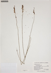 000187970-thumbnail.jpg