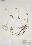 000187971-thumbnail.jpg