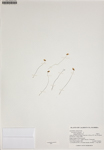 000187972-thumbnail.jpg