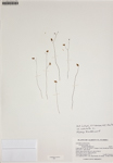 000187973-thumbnail.jpg