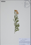 000188117-thumbnail.jpg
