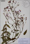 000188122-thumbnail.jpg