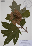 000188154-thumbnail.jpg