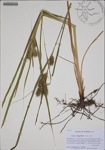 000188174-thumbnail.jpg
