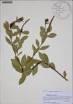 000188180-thumbnail.jpg