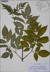 000188192-thumbnail.jpg