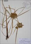 000188213-thumbnail.jpg