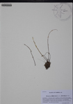 000188259-thumbnail.jpg