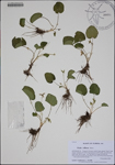 000188282-thumbnail.jpg