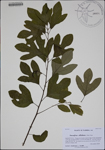 000188286-thumbnail.jpg