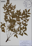000188311-thumbnail.jpg