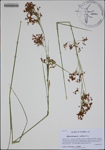 000188314-thumbnail.jpg