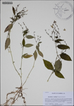 000188315-thumbnail.jpg