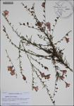 000188317-thumbnail.jpg
