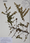 000188333-thumbnail.jpg
