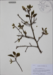 000188358-thumbnail.jpg