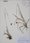000188363-thumbnail.jpg
