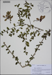 000188418-thumbnail.jpg