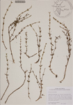 000188453-thumbnail.jpg