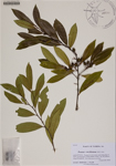 000188492-thumbnail.jpg